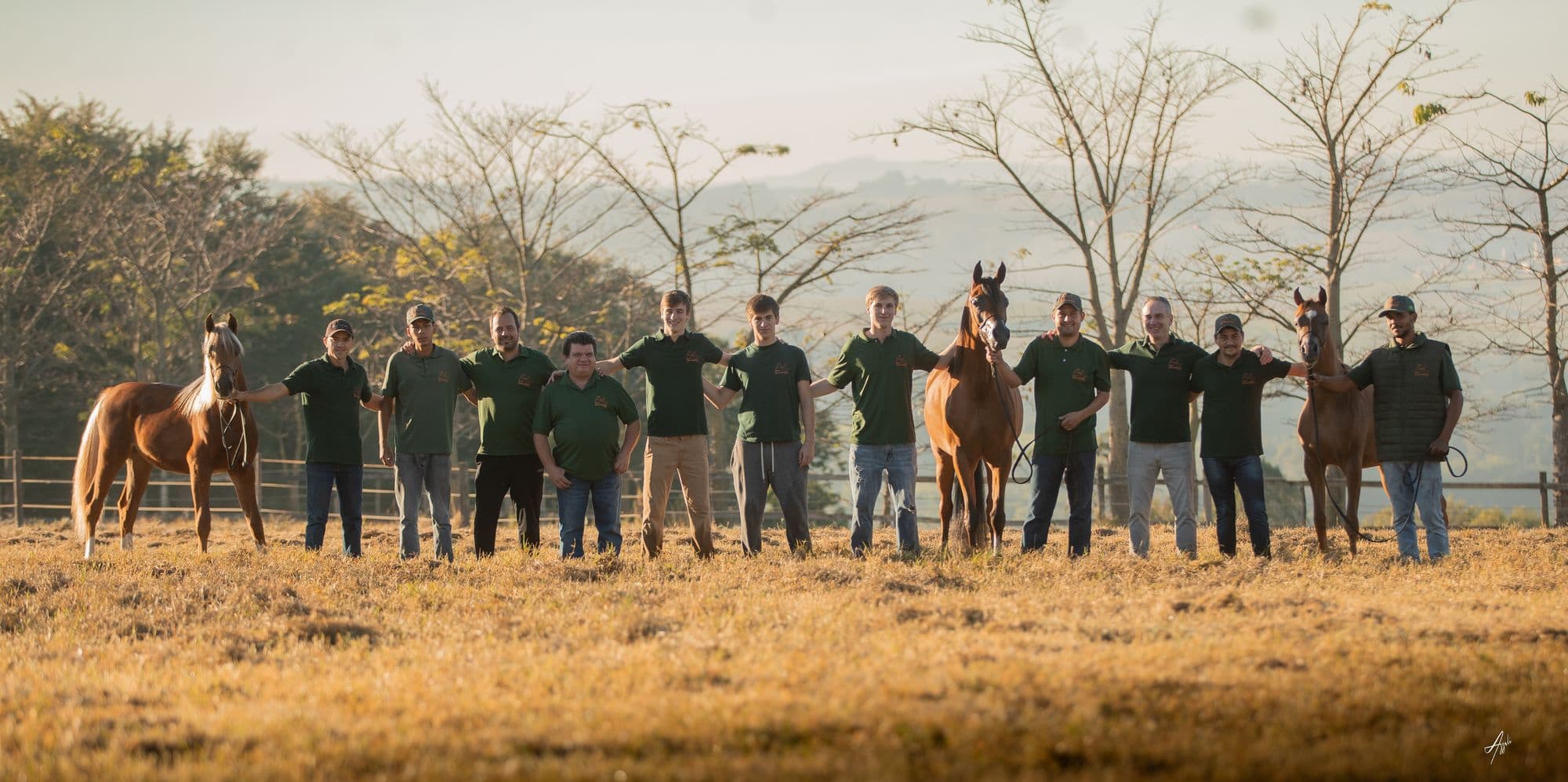 The Haras Serondella team with their Arabians in a golden field
